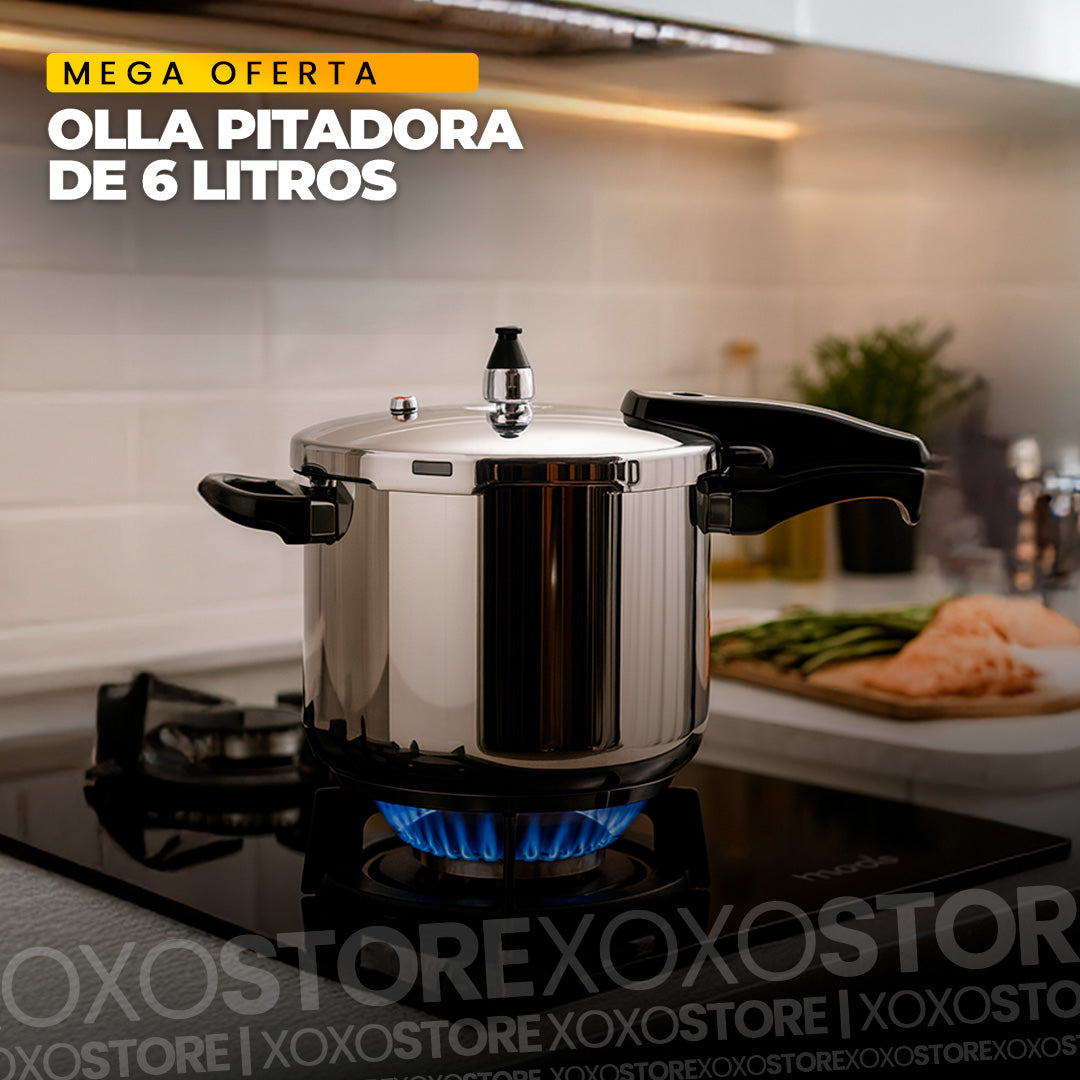 Olla a presion de 6 litros